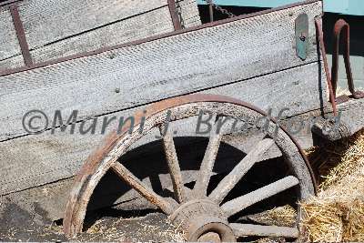 DSC_0132wtmk.jpg