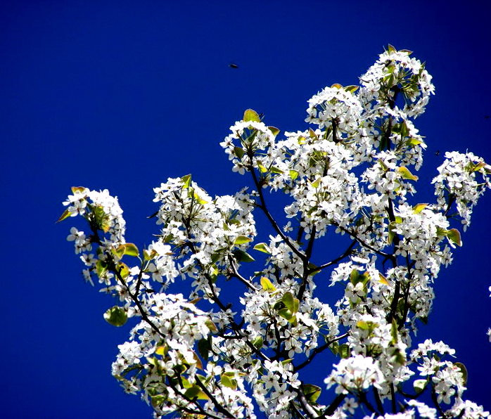 DSCN1513.JPG