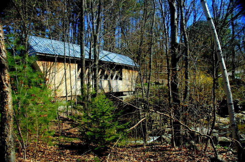 DSC_4573.JPG