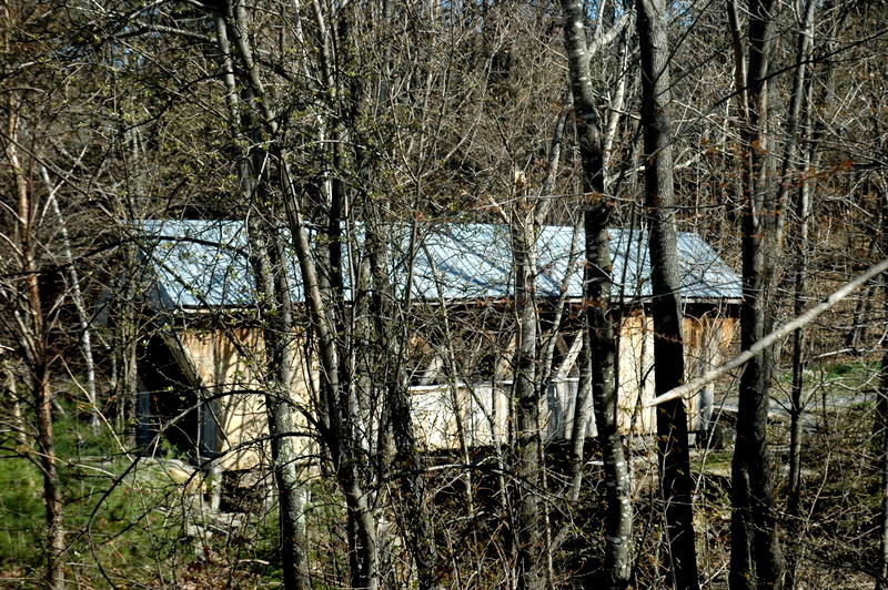 DSC_4577.JPG