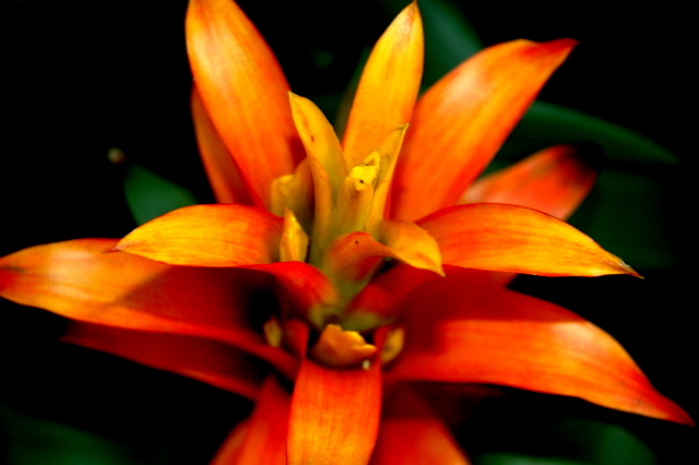 DSC_3918.JPG