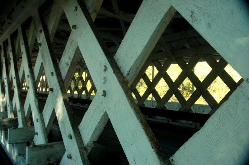 DSC_5717.JPG