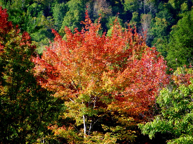 DSCN2766.JPG