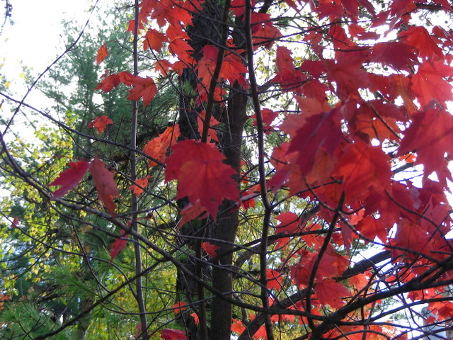 DSCN2778.JPG
