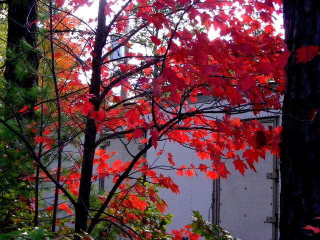 DSCN2792.JPG