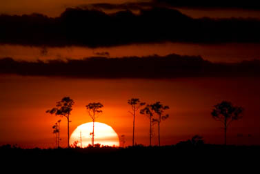 Everglades  Sunset 2A 10-2006 249 copy.jpg