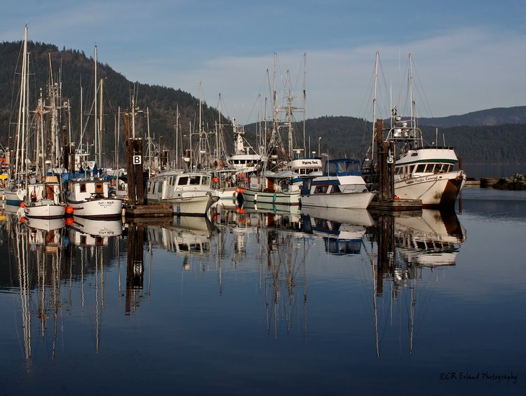 Cowichan Bay Government Dock - triangle 8