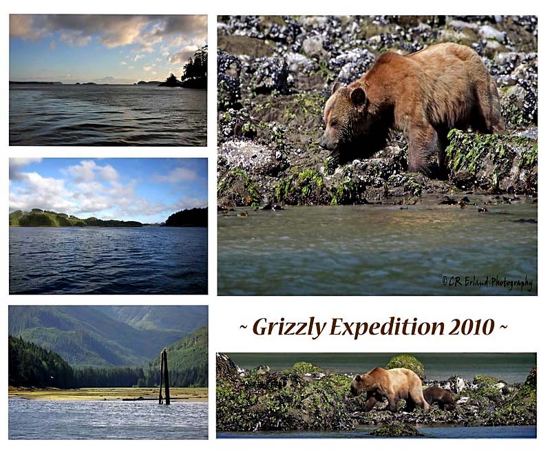 Grizzly Expedition 2010