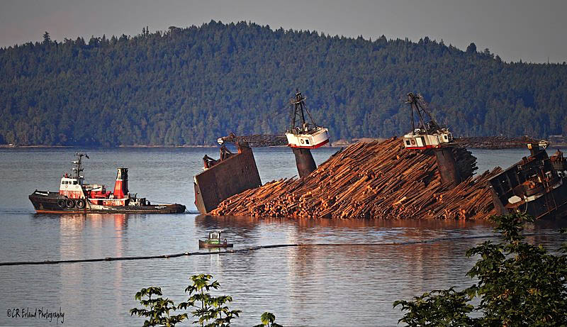 Dumping the Log Barge