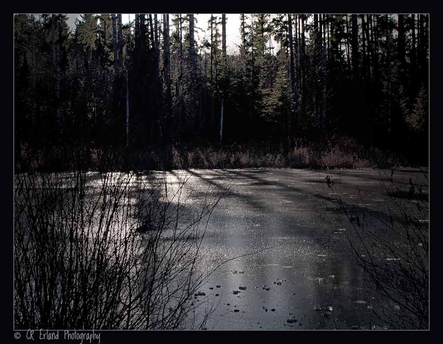Shadows and Ice