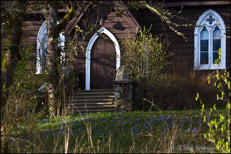 St Peters Anglican Church - 1877<br> The wildflowers are begining to bloom