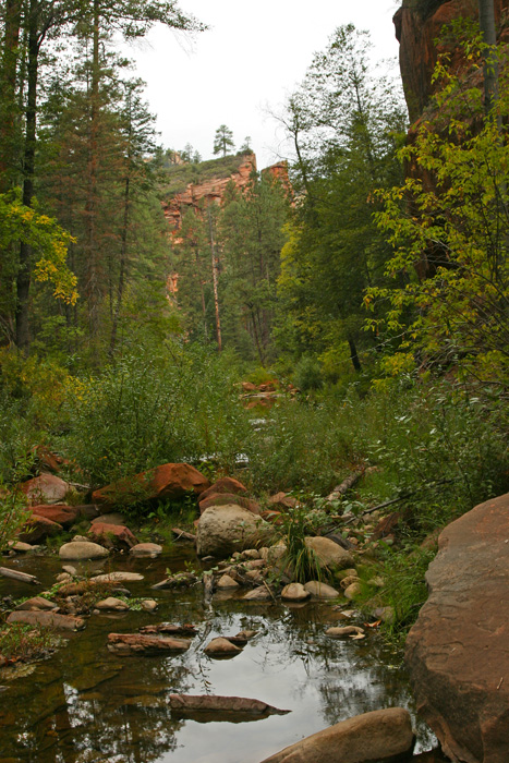 OAK CREEK