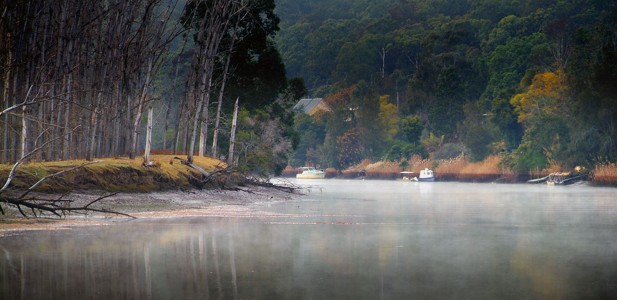 Misty River