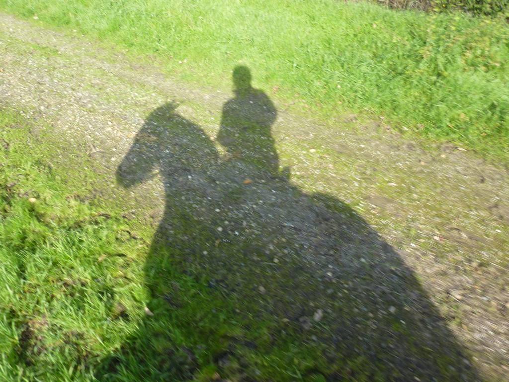self portrait at gallop