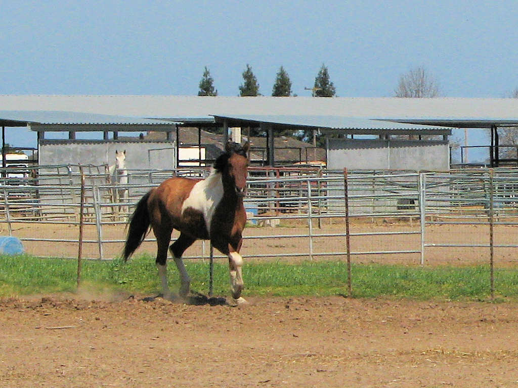 hh_2488.JPG