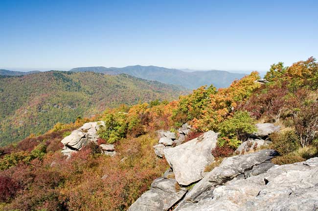 Sam Knob Summit Trail 8