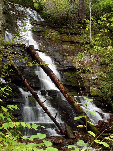 Little Creek Falls