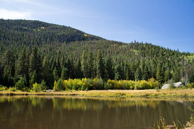 Cub Lake Trail 6