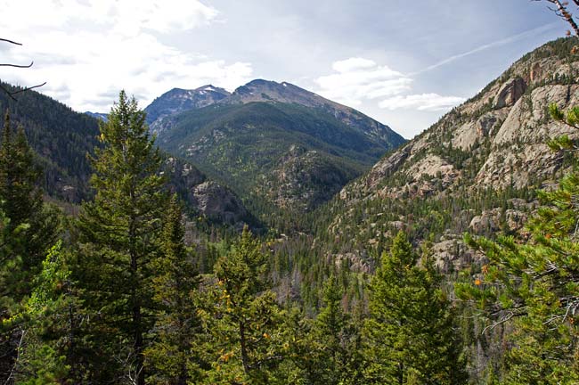 Cub Lake Trail 8