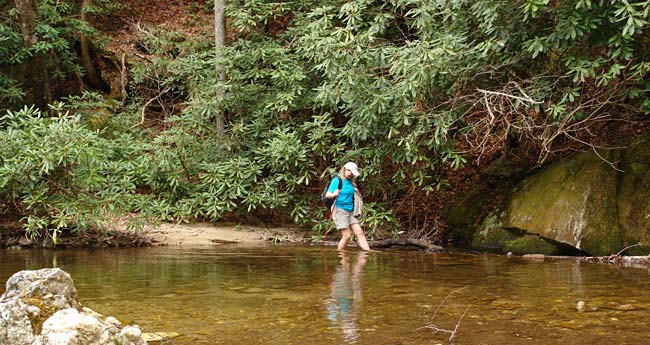 Bobbie Crossing North Harper Creek