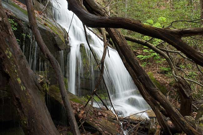 Moody Creek 7