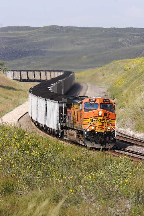 BNSF 5639E 2.JPG