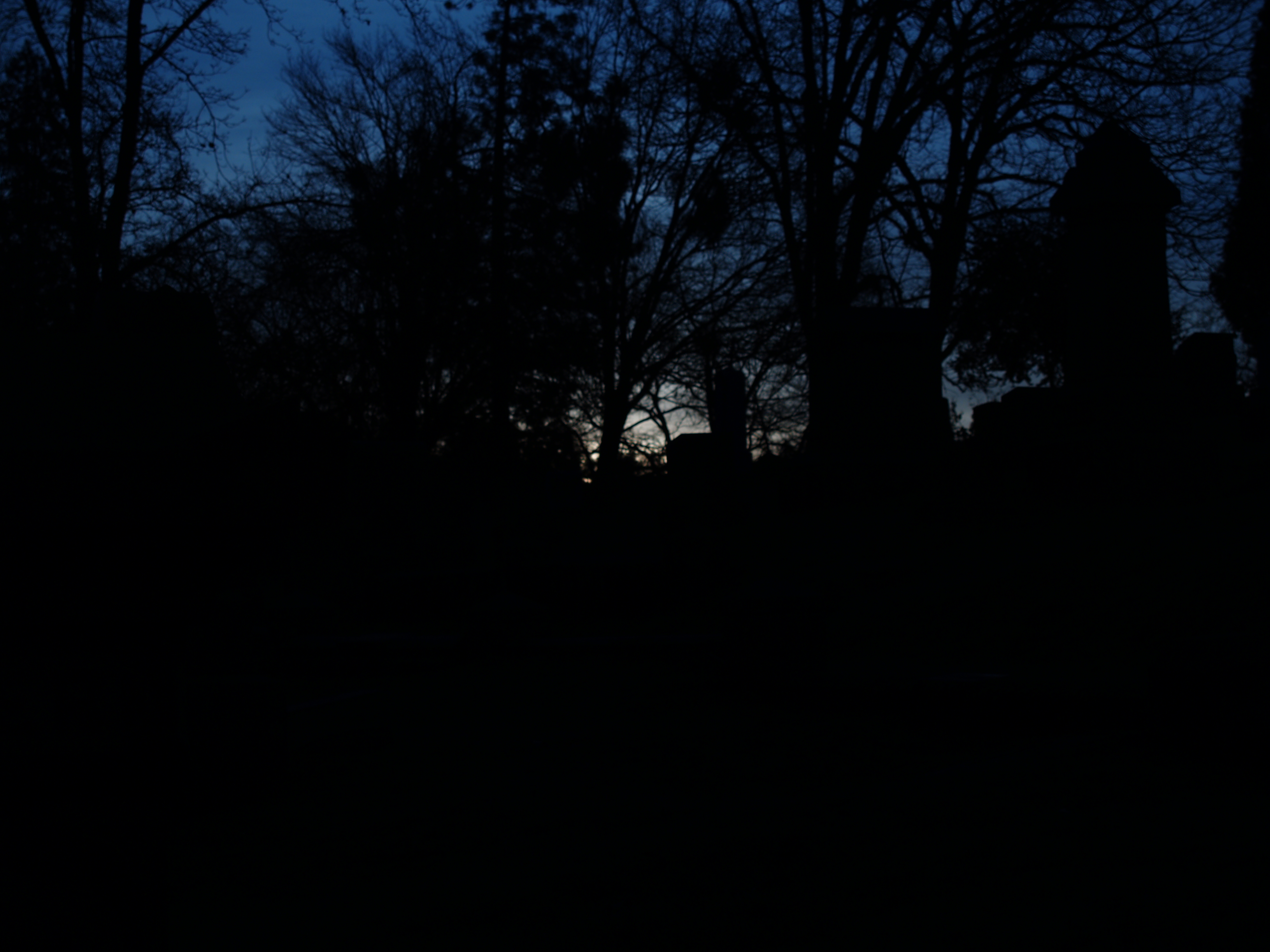 Waiting on Morning Light