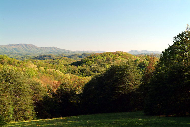 Where I live