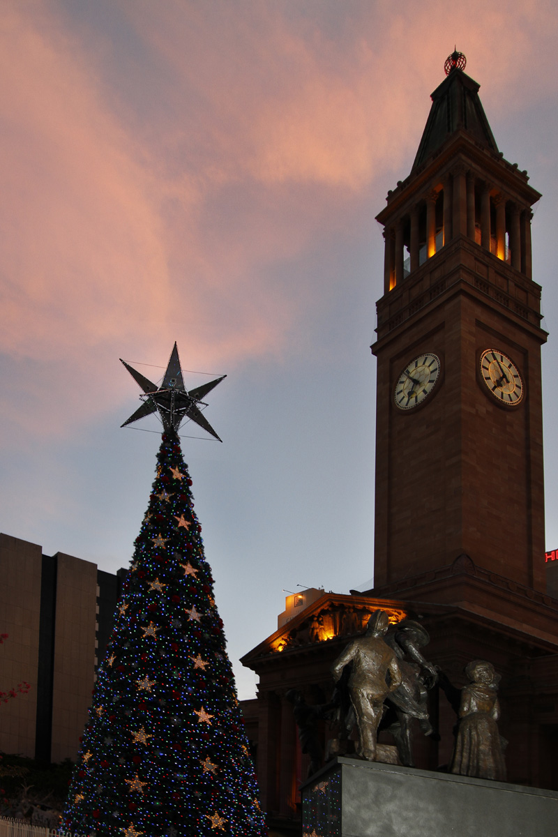 091223 Xmas Tree 037 small.jpg