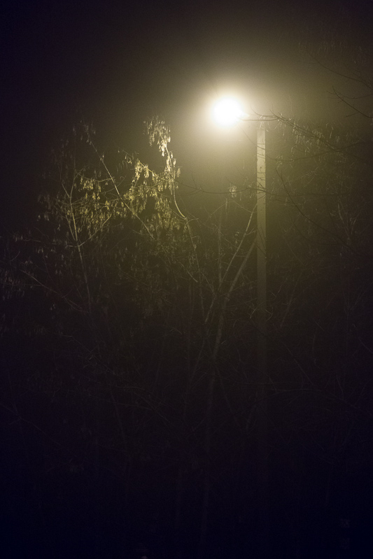 fog 2.