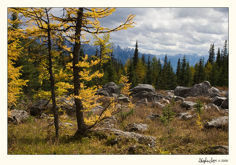 20080925_Golden_0055.jpg
