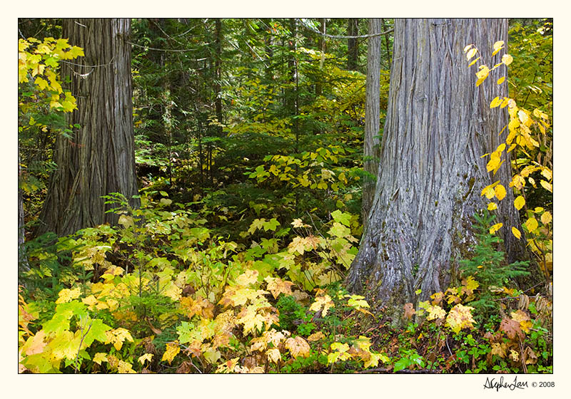 20080927_BC_0029.jpg