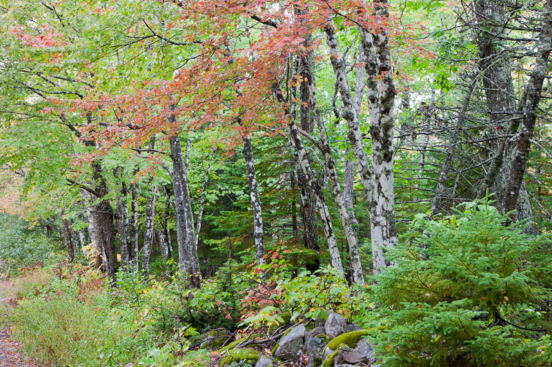 20101007_Cape Breton_0076.jpg