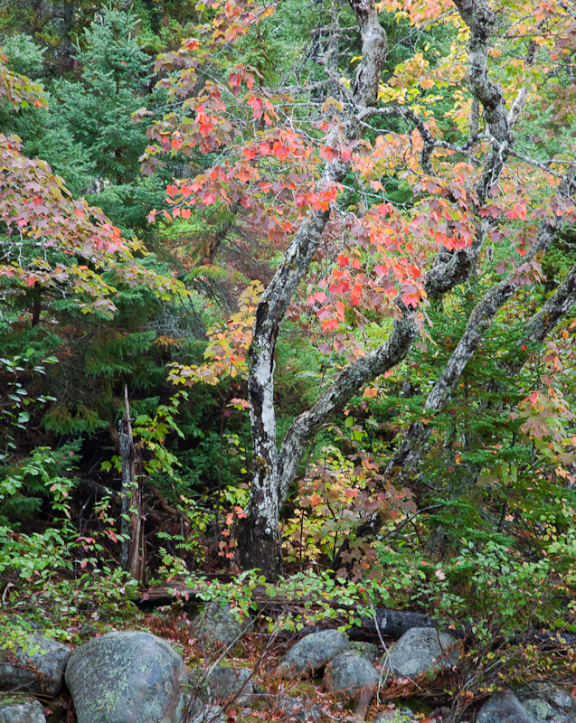 20101007_Cape Breton_0115.jpg