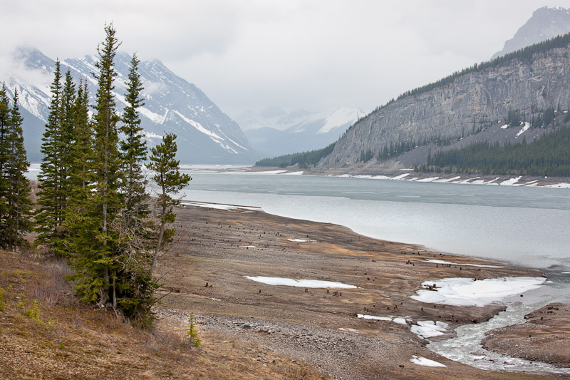 20110607_Kananaskis_0040.jpg