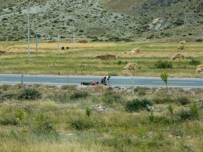 20110922_Xining_0213.jpg