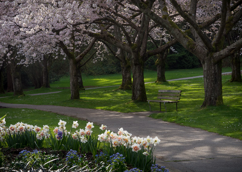 20130408_Stanley Park_0116.jpg