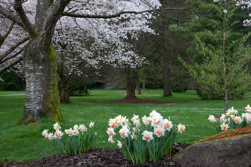 20130409_Stanley Park_0097.jpg