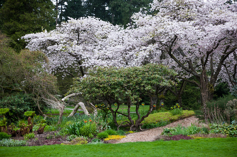 20130409_Stanley Park_0125.jpg