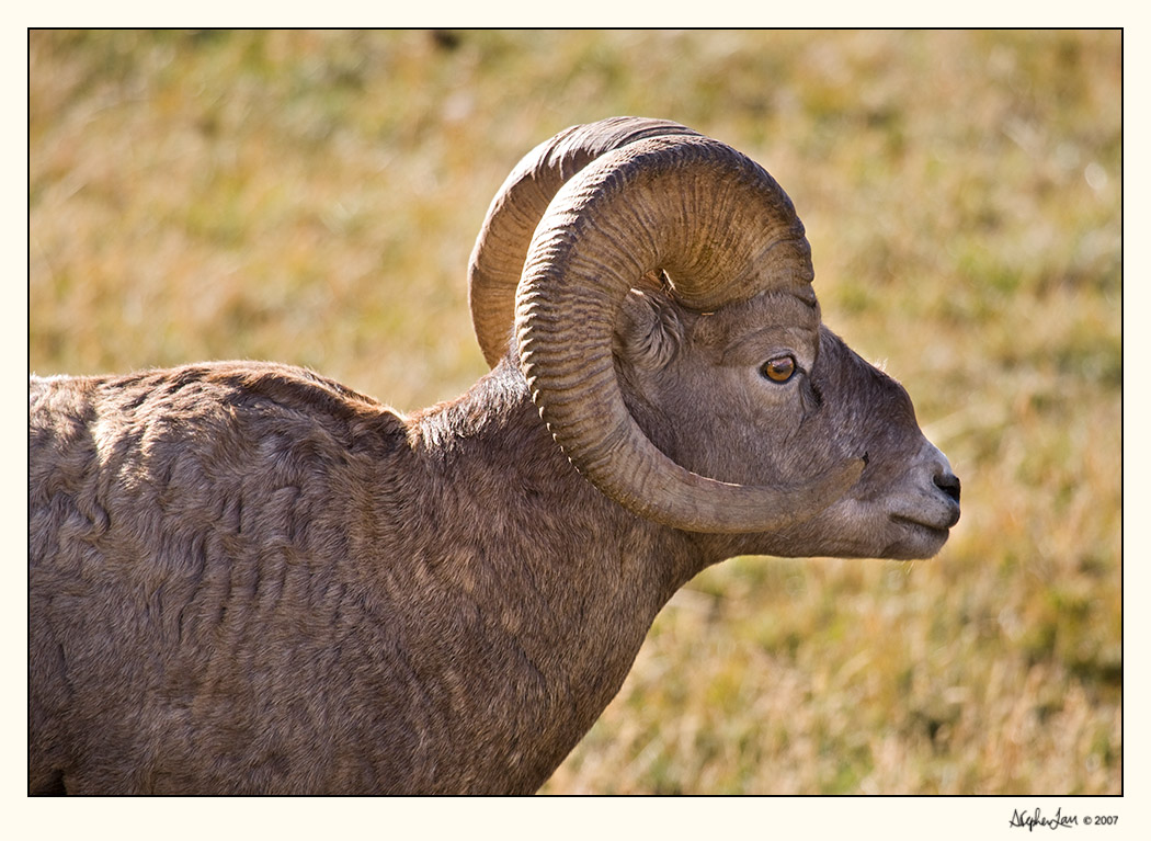 20071007_Kananaskis_0014.jpg
