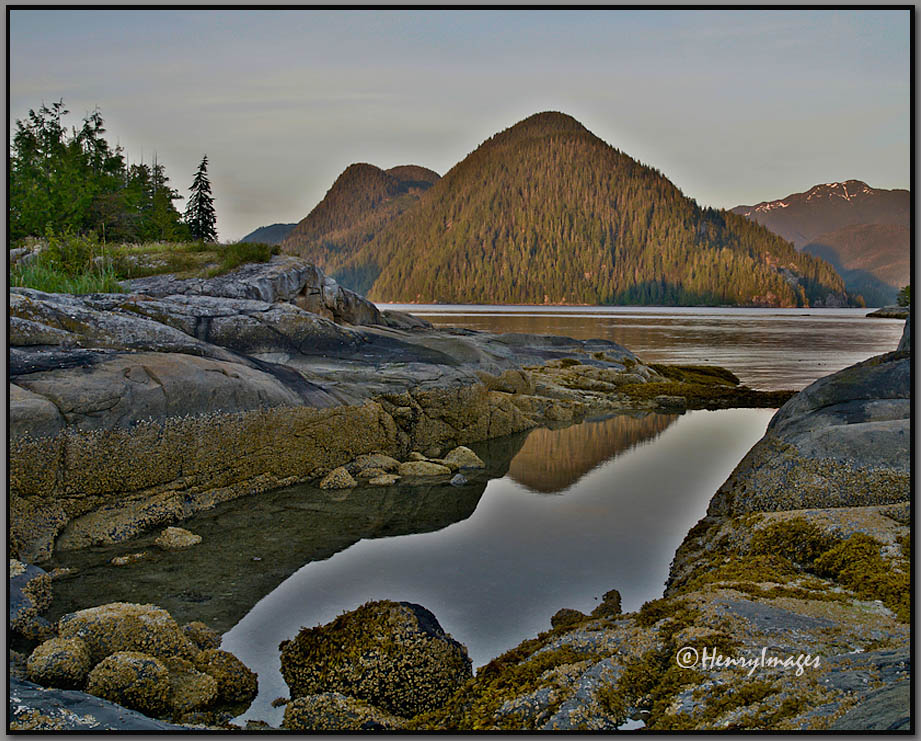 Burdwood Tidepool