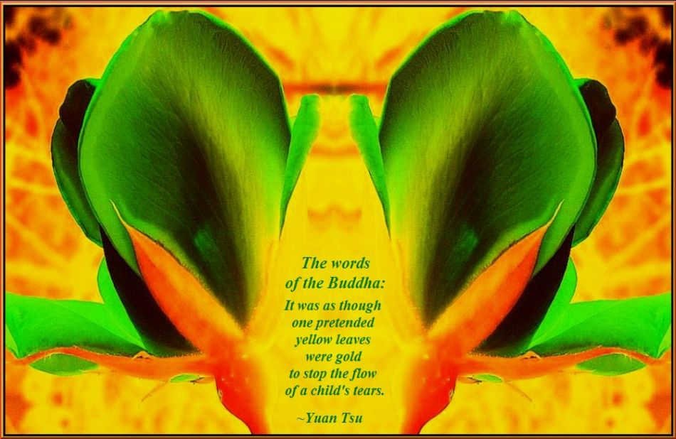 The Words of the Buddha
