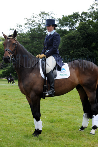 Horse trials9.jpg