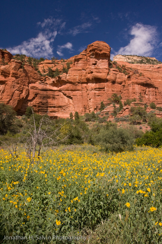 Palatki Ruins Arizona-10.jpg