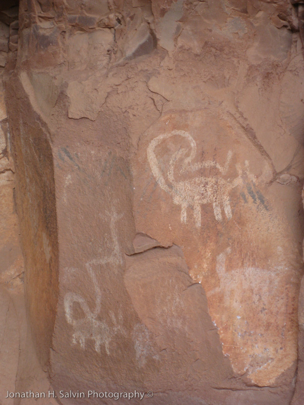 Palatki Ruins Arizona-54.jpg