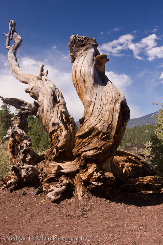 Sunset Crater Arizona-28.jpg