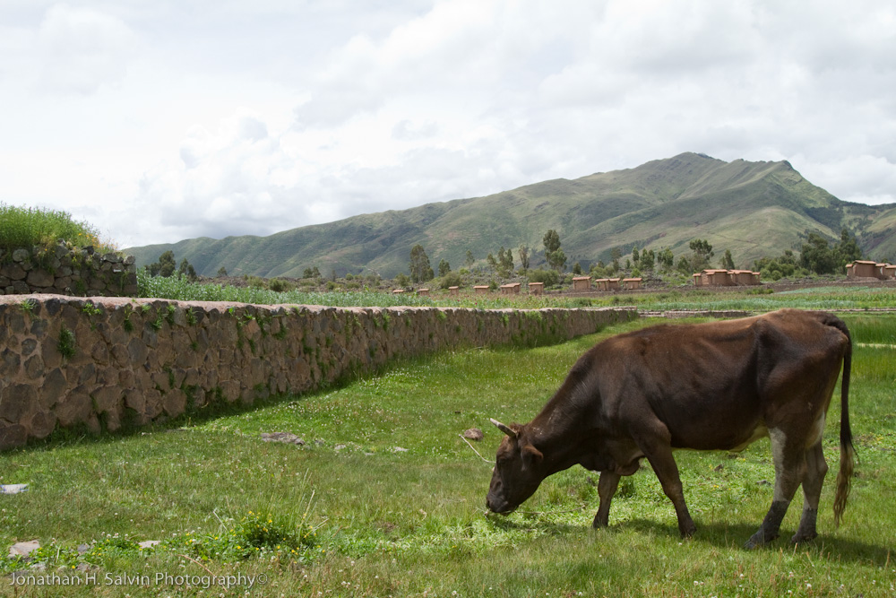 Raqchi Peru-60.jpg