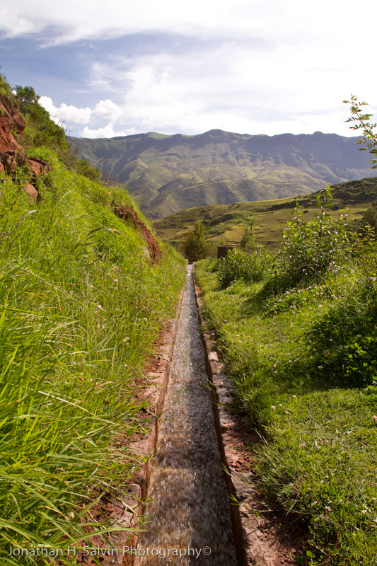 Tipon Peru-3.jpg
