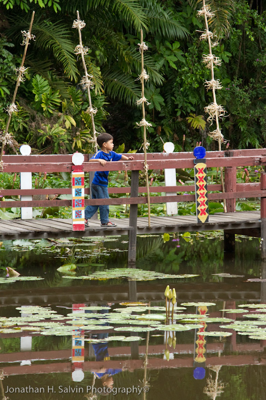 Kota Kinabalu-_MG_6262.jpg