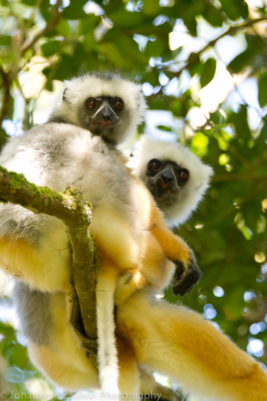 Madagascar-218.jpg